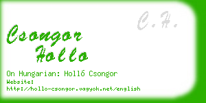 csongor hollo business card